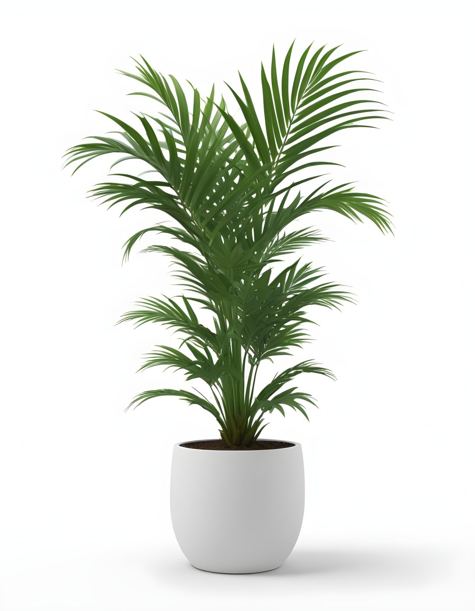 3d Model A Green Areca Palm Plant In A White Pot The Background Is Plain White The Plant Is Lush And Healthy The Pot Is Simple And Modern Figure Octane Render Volumetric Highly Detailed Videogame Aesthetic 9 6e27