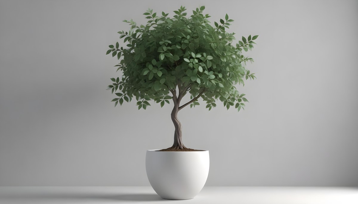 3d Model A Small Tree With Green Leaves In A White Pot The Background Is Gray The Lighting Is Soft And Diffused The Composition Is Simple And Clean Figure Octane Render Volumetric Highly Detailed Videogame Aesth 5 4685
