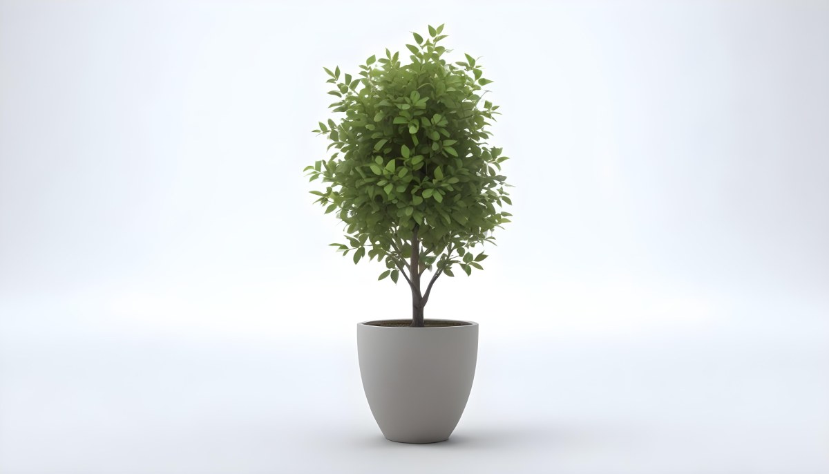 3d Model A Small Tree With Green Leaves In A White Pot The Background Is Gray The Lighting Is Soft And Diffused The Composition Is Simple And Clean Figure Octane Render Volumetric Highly Detailed Videogame Aesth 6 8173