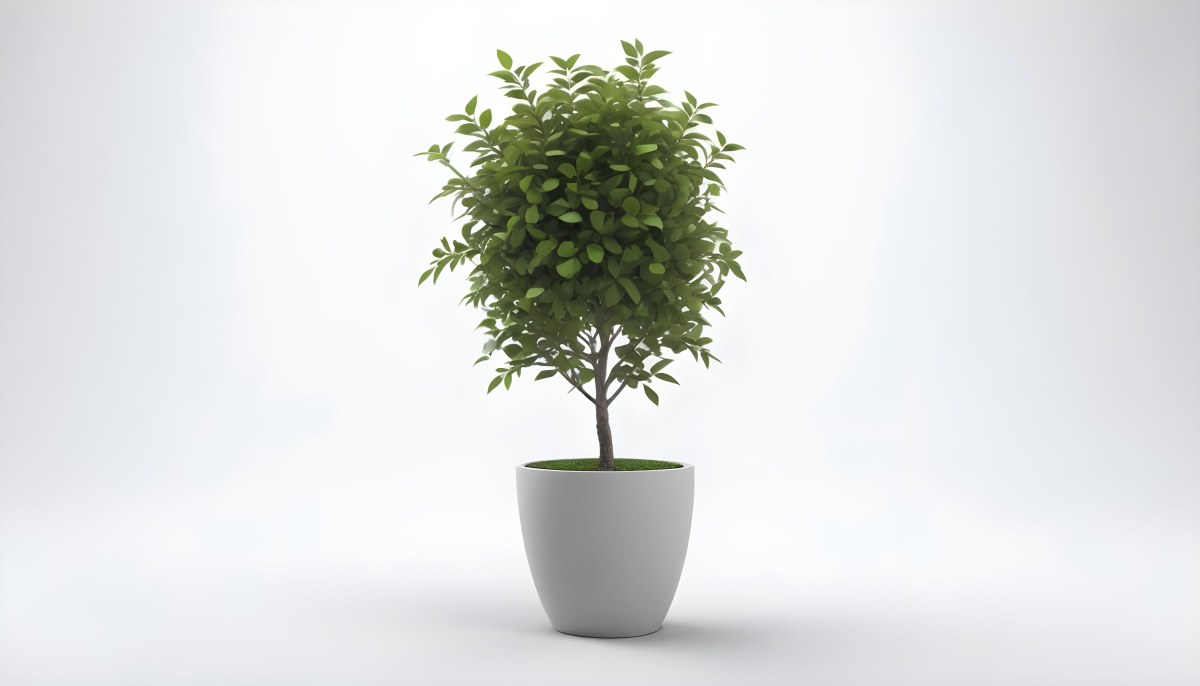 3d Model A Small Tree With Green Leaves In A White Pot The Background Is Gray The Lighting Is Soft And Diffused The Composition Is Simple And Clean Figure Octane Render Volumetric Highly Detailed Videogame Aesth 7 E705