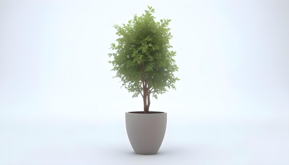 3d Model A Small Tree With Green Leaves In A White Pot The Background Is Gray The Lighting Is Soft And Diffused The Composition Is Simple And Clean Figure Octane Render Volumetric Highly Detailed Videogame Aesth 8 88d4