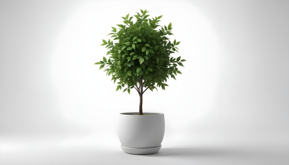 3d Model A Small Tree With Green Leaves In A White Pot The Background Is Gray The Lighting Is Soft And Diffused The Composition Is Simple And Clean Figure Octane Render Volumetric Highly Detailed Videogame Aesth 9 777b