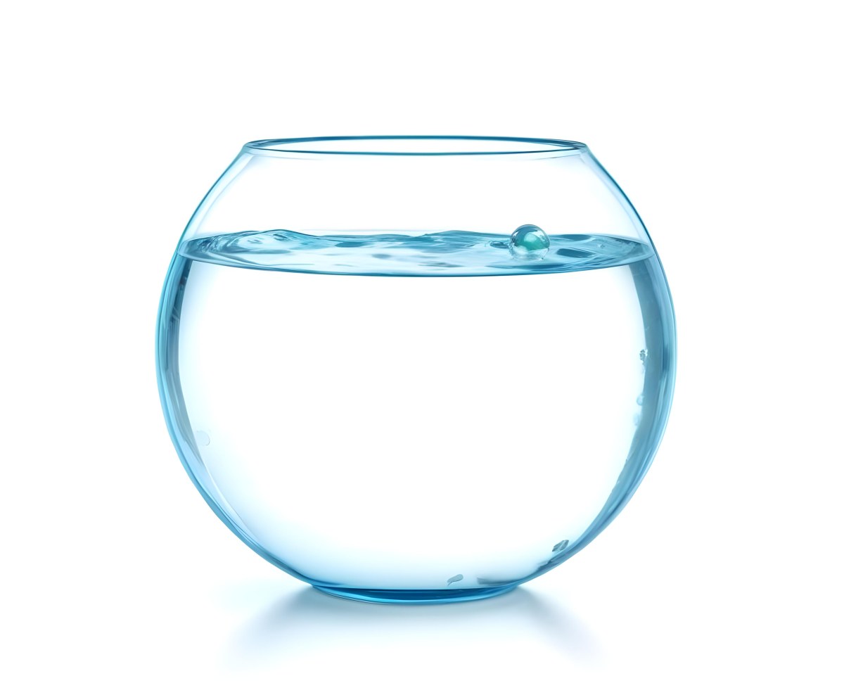3d Model Fishbowl With Clear Water Transparent Glass Round Shape Smooth Surface Water Level Near The Top Clean And Simple Design White Background Figure Octane Render Volumetric Highly Detailed Videogame Aest 12 203d
