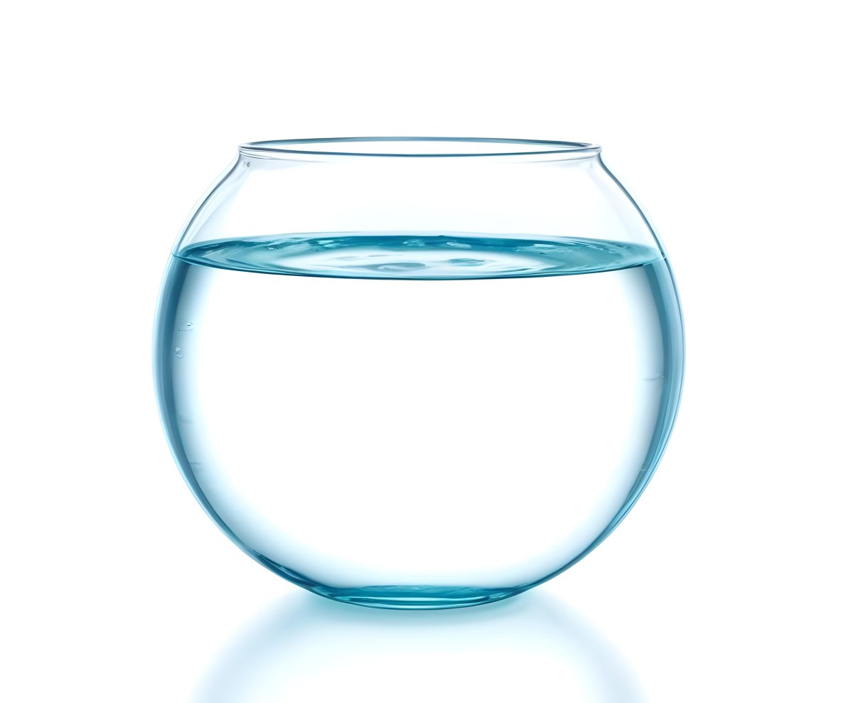 3d Model Fishbowl With Clear Water Transparent Glass Round Shape Smooth Surface Water Level Near The Top Clean And Simple Design White Background Figure Octane Render Volumetric Highly Detailed Videogame Aest 16 15d1