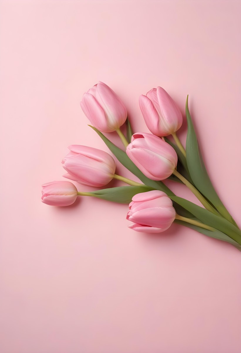 A Bouquet Of Pink Tulips In A Glass Vase Against A Pink Background 172 Cd3d