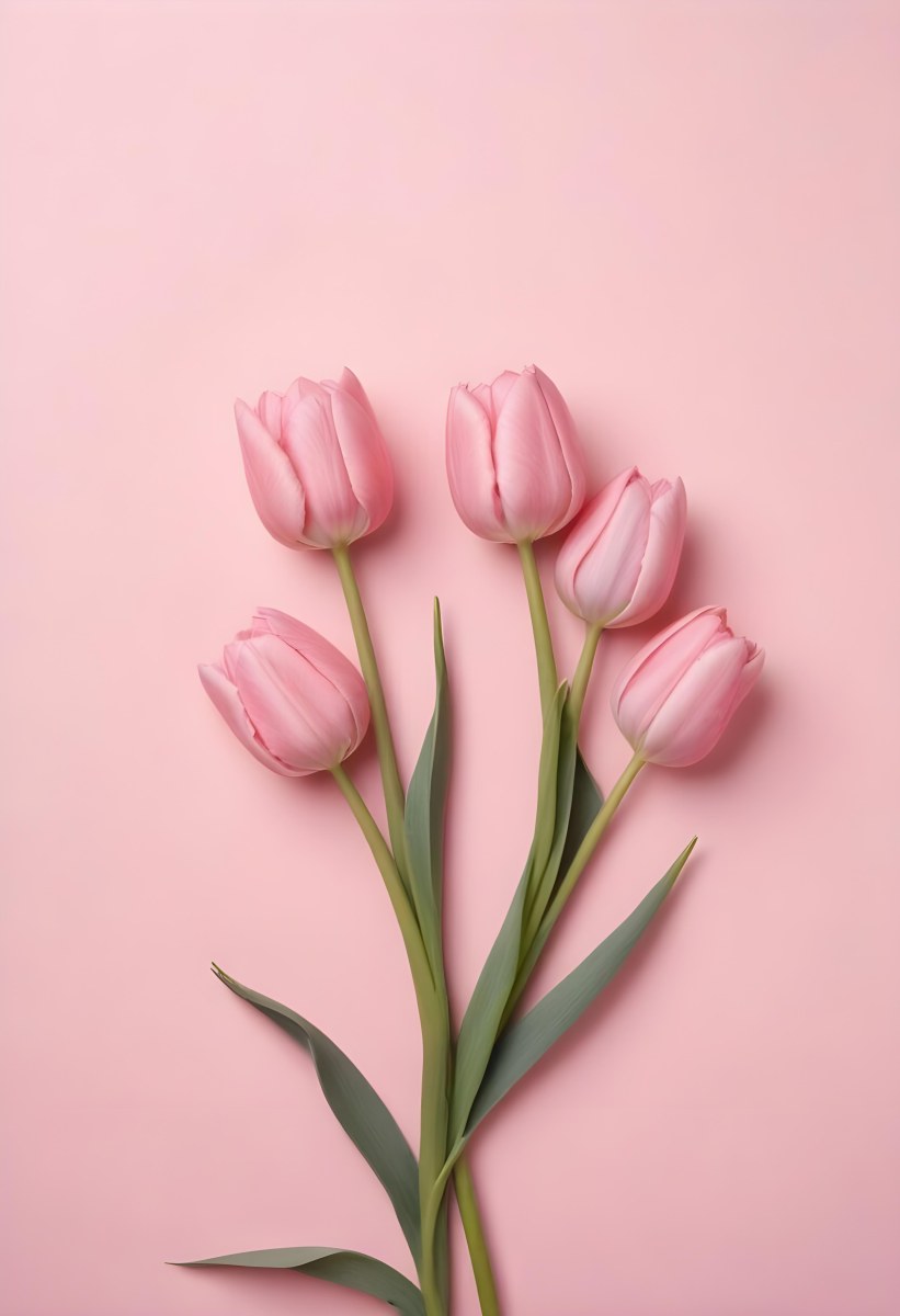 A Bouquet Of Pink Tulips In A Glass Vase Against A Pink Background 43 3e63
