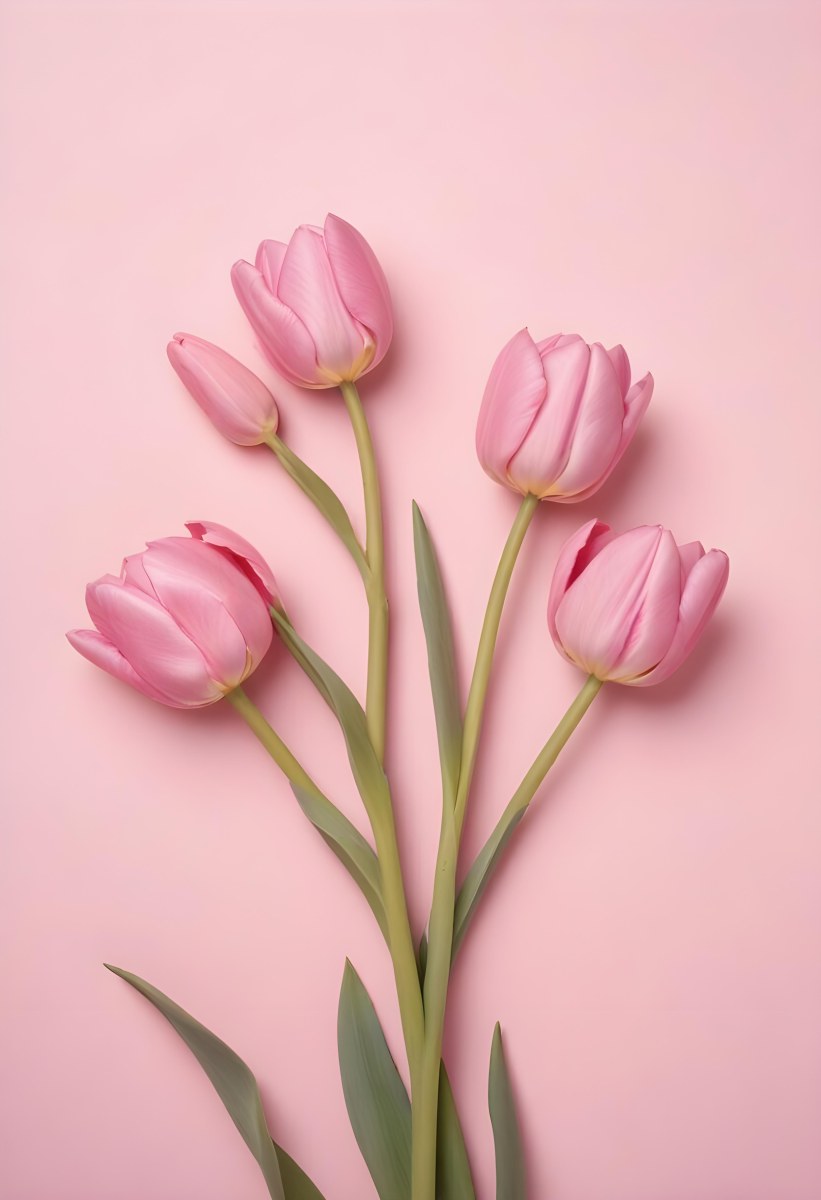 A Bouquet Of Pink Tulips In A Glass Vase Against A Pink Background 47 04f4