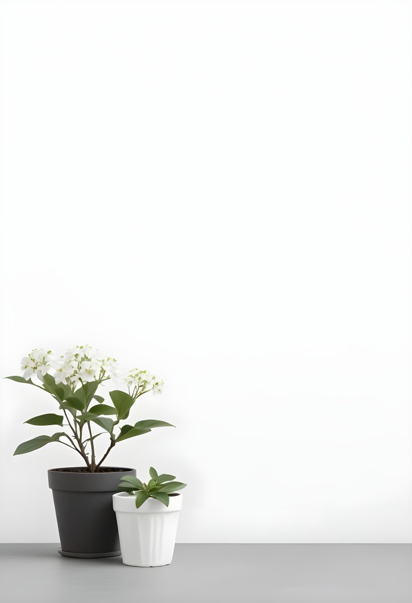 A Bouquet Of White Daisy Like Flowers With Green Leaves In A White Vase On A Plain Background 8 Ddf8