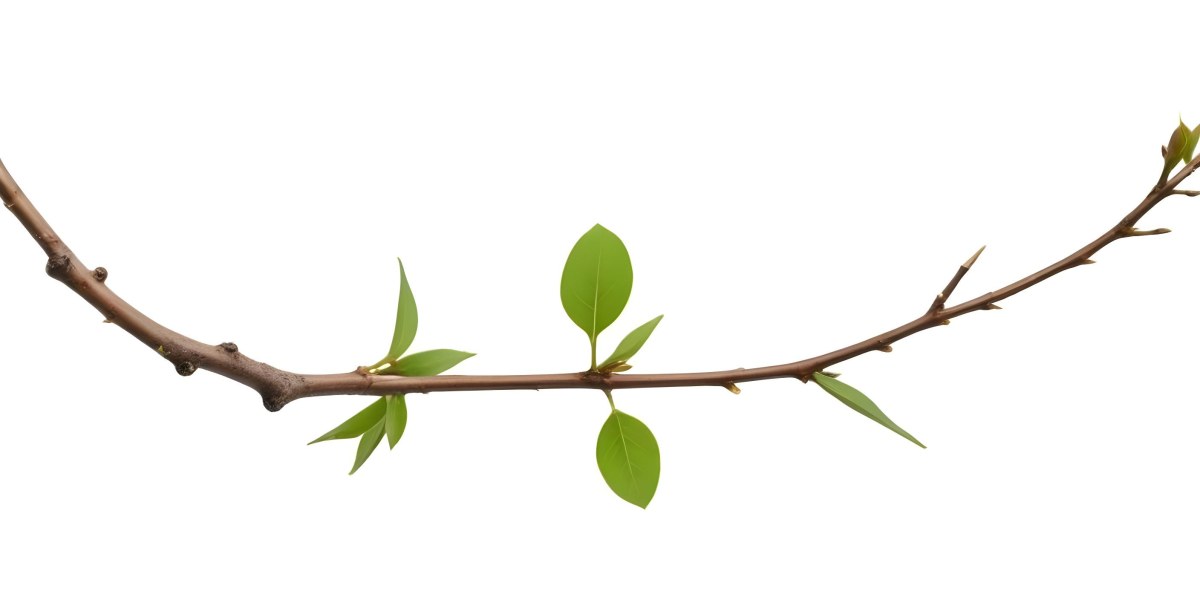 A Branch With Small Brown Leaves Green Stem Isolated On A Green Background Minimalist Composition Natural Light Close Up Shot High Resolution 12 2331