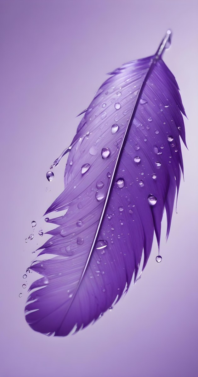 A Close Up View Of A Purple Feather With Water Droplets On Its Surface 11 F601
