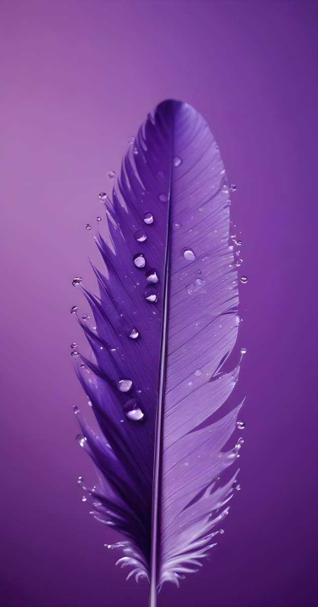 A Close Up View Of A Purple Feather With Water Droplets On Its Surface 3 1b55