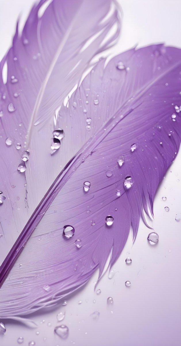 A Close Up View Of A Purple Feather With Water Droplets On Its Surface 6 D079