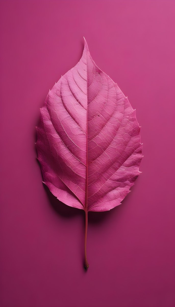 A Closeup Of A Vibrant Pink Leaf