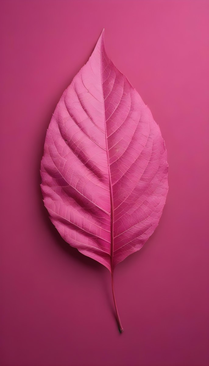 A Closeup Of A Vibrant Pink Leaf Against A Solid P 130 Dab8