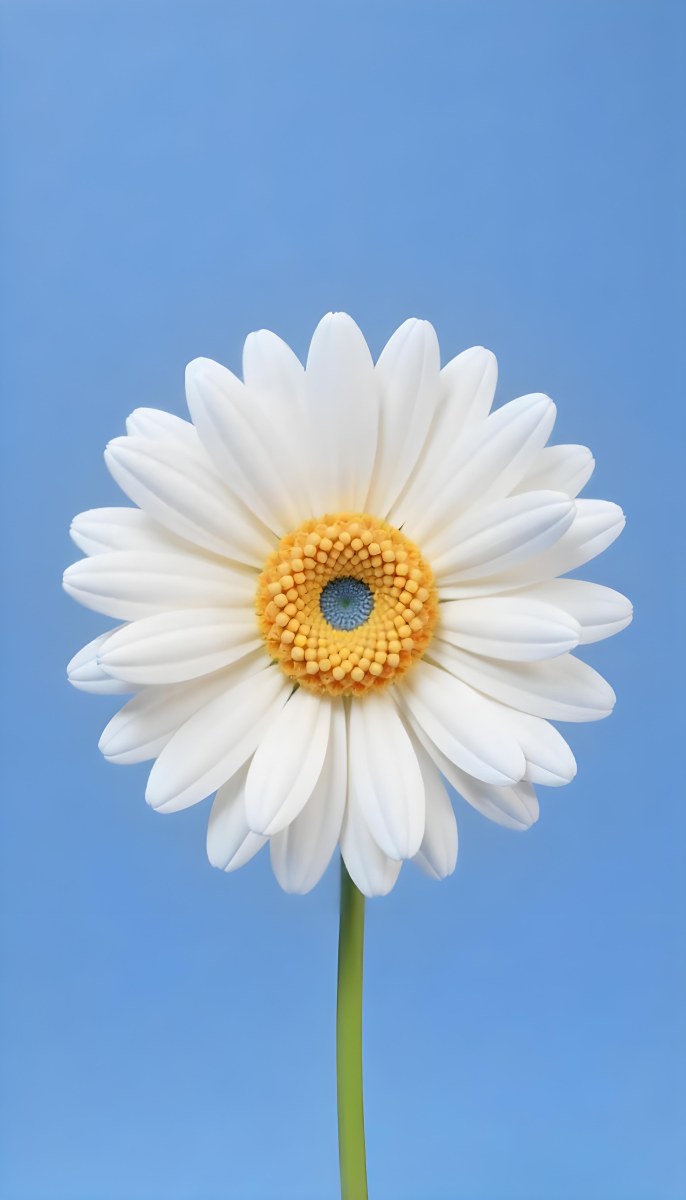 A Daisy With Blue Petals And A Blue Center The Flower Is In Full Bloom And Facing The Viewer Yellow Background 3 4180
