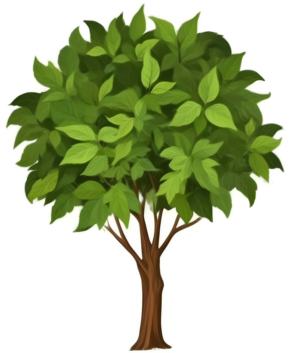 A Large Lush Green Tree With A Thick Trunk And Full Canopy Of Leaves In A Forest Setting With A Blurred Verdant Background 13 122d