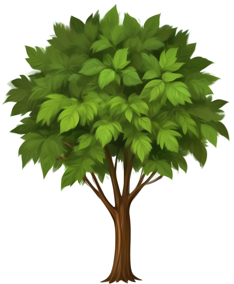 A Large Lush Green Tree With A Thick Trunk And Full Canopy Of Leaves In A Forest Setting With A Blurred Verdant Background 6 7d2f