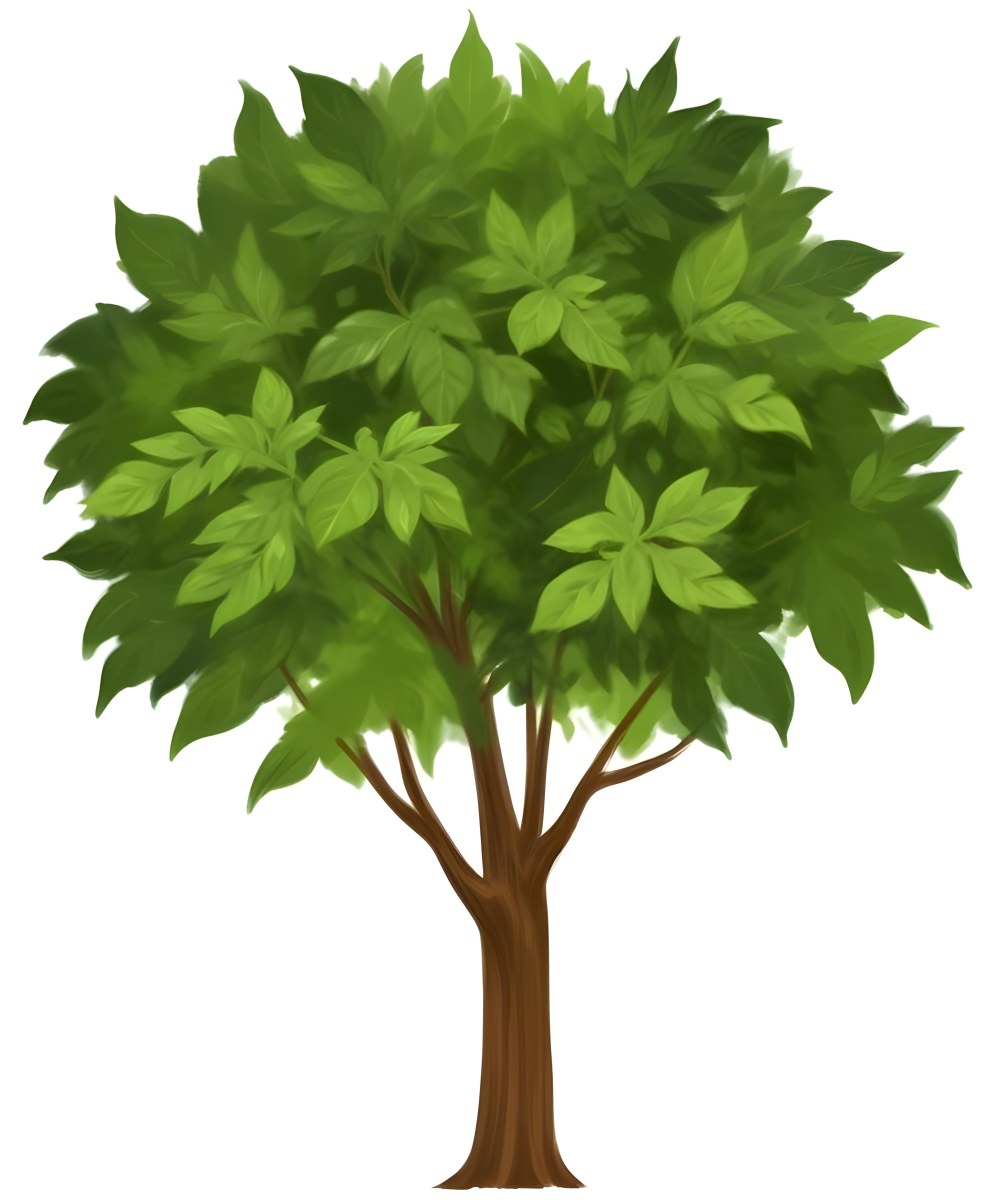 A Large Lush Green Tree With A Thick Trunk And Full Canopy Of Leaves In A Forest Setting With A Blurred Verdant Background 8 E661