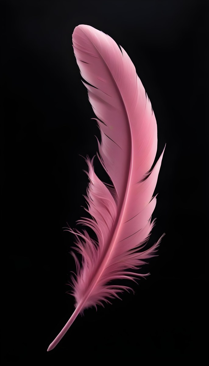 A Large Pink Feather Against A Black Background 20 D4de