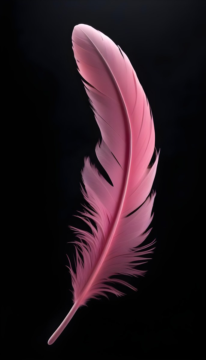A Large Pink Feather Against A Black Background 25 9802