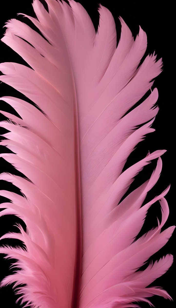 A Large Pink Feather Against A Black Background 26 7dad