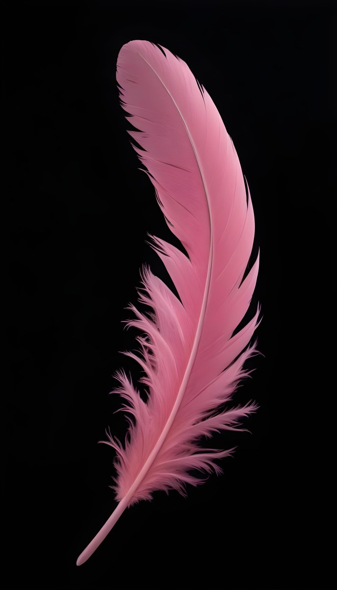A Large Pink Feather Against A Black Background 7 2c3a