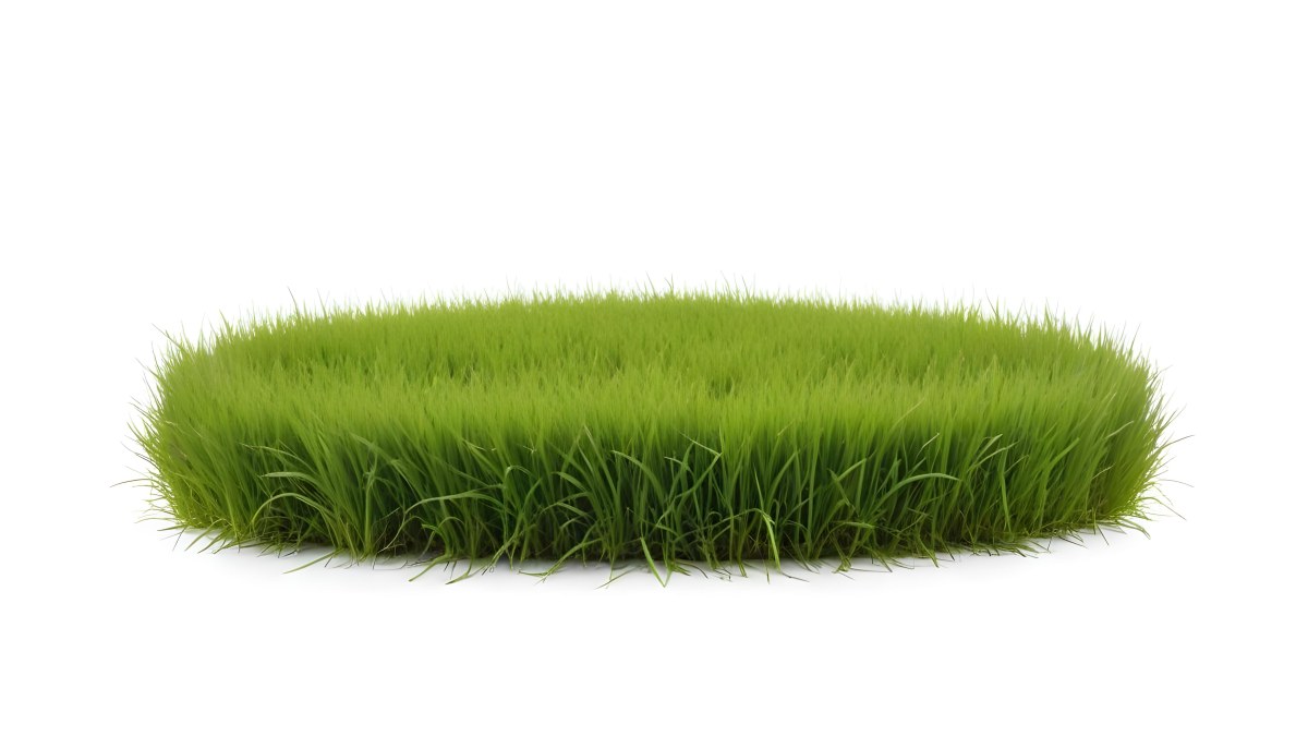 A Patch Of Green Grass Vibrant And Lush With Varying Shades Of Green Isolated On A White Background Creating A Clean And Simple Composition 18 3d9b