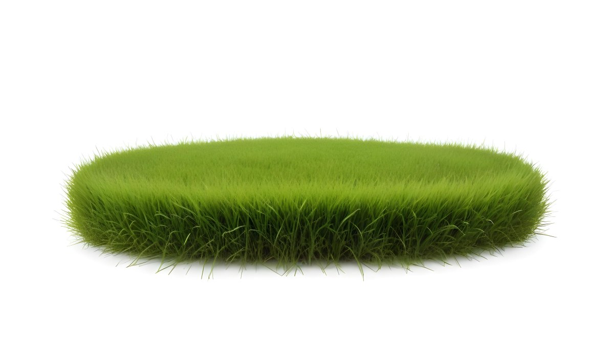 A Patch Of Green Grass Vibrant And Lush With Varying Shades Of Green Isolated On A White Background Creating A Clean And Simple Composition 2 2c2c