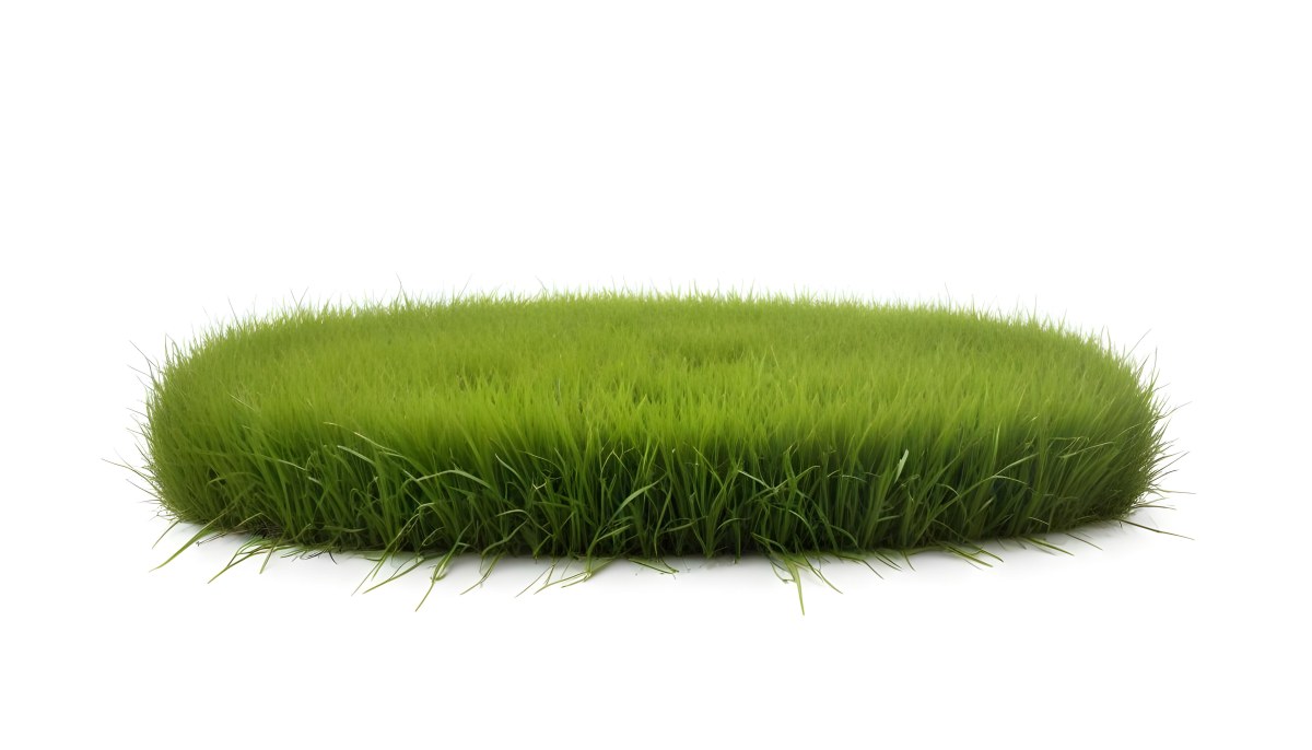 A Patch Of Green Grass Vibrant And Lush With Varying Shades Of Green Isolated On A White Background Creating A Clean And Simple Composition 25 041e