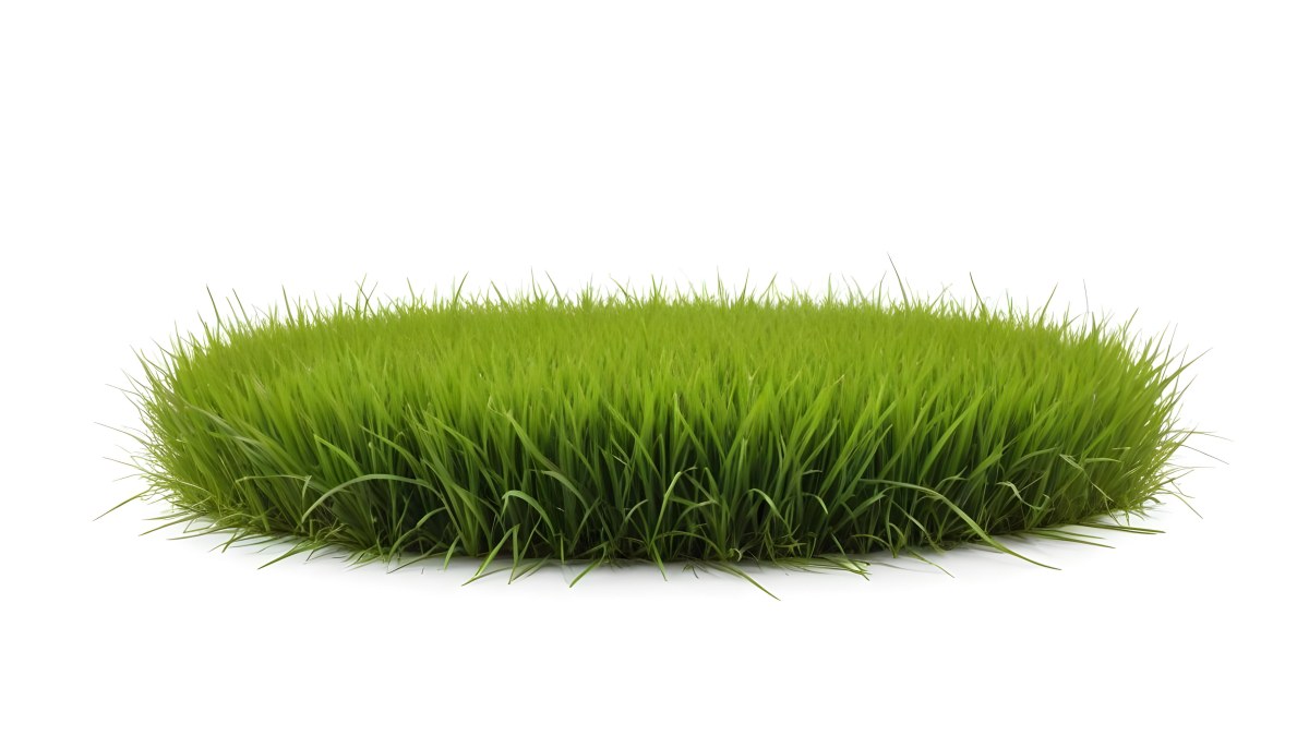 A Patch Of Green Grass Vibrant And Lush With Varying Shades Of Green Isolated On A White Background Creating A Clean And Simple Composition 28 3ddb