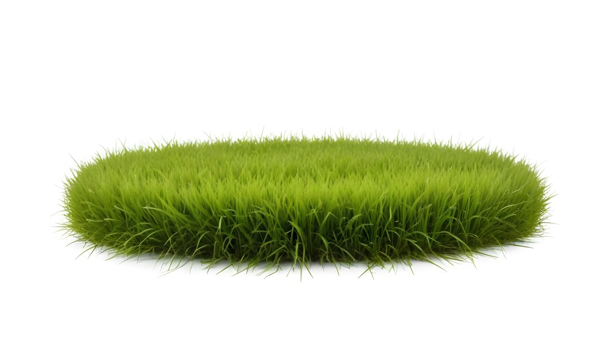 A Patch Of Green Grass Vibrant And Lush With Varying Shades Of Green Isolated On A White Background Creating A Clean And Simple Composition 29 A393