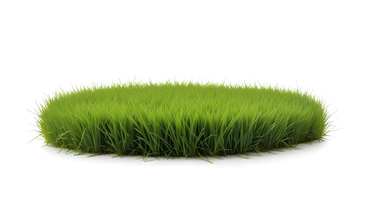 A Patch Of Green Grass Vibrant And Lush With Varying Shades Of Green Isolated On A White Background Creating A Clean And Simple Composition 6 29c3