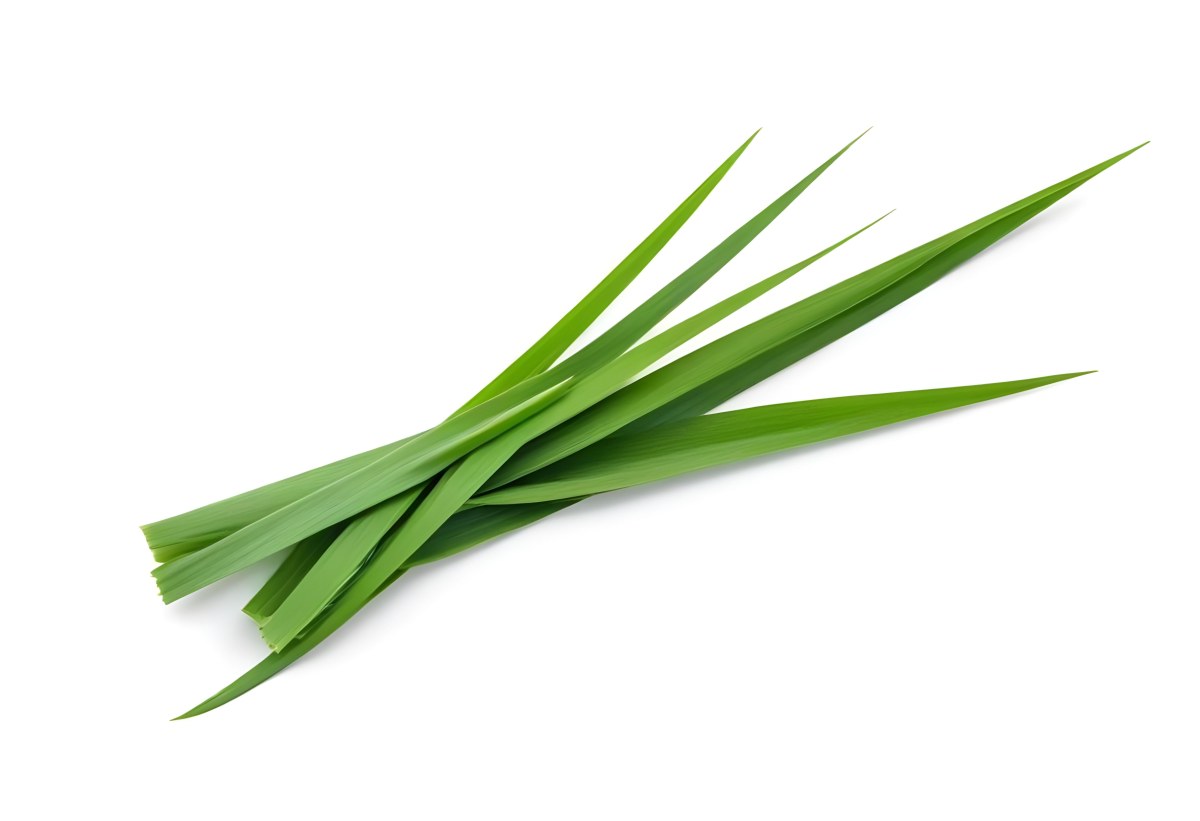 A Pile Of Green Grass Leaves With Long And Thin Shape In A White Background 21 Cf4a