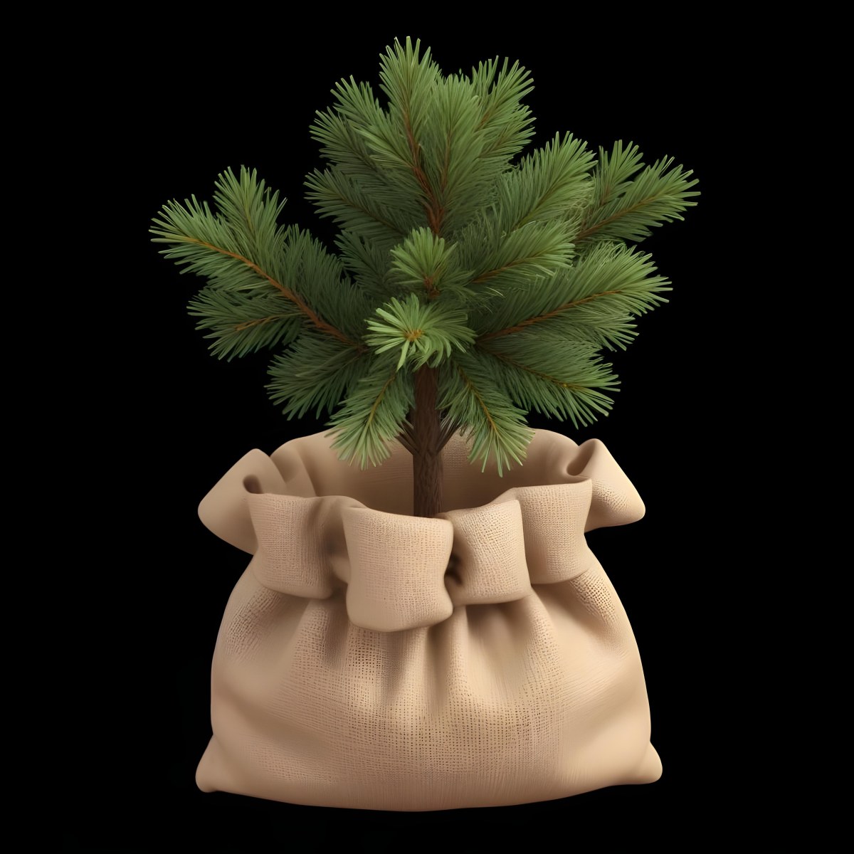 A Small Pine Tree In A Burlap Sack With A Tied Bow The Background Is Plain Black 7 De69