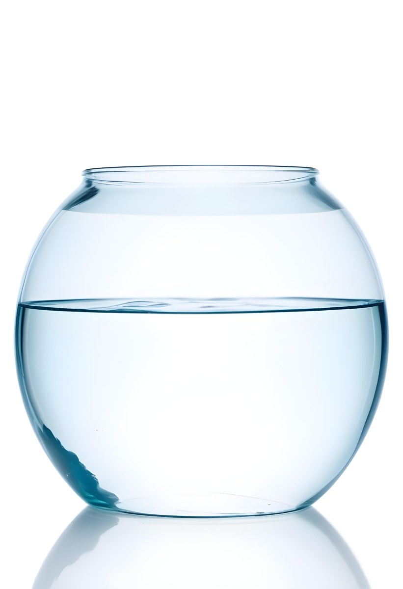 A Transparent Glass Fishbowl Filled Halfway With Clear Water Set Against A Plain White Background Showcasing The Simple Elegance Of The Container And Its Contents 10 935b