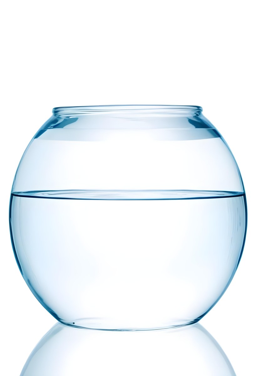 A Transparent Glass Fishbowl Filled Halfway With Clear Water Set Against A Plain White Background Showcasing The Simple Elegance Of The Container And Its Contents 12 7309