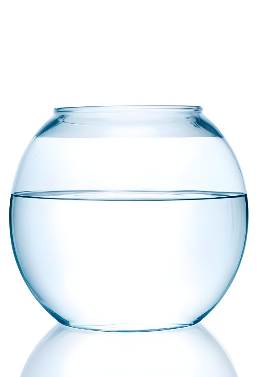 A Transparent Glass Fishbowl Filled Halfway With Clear Water Set Against A Plain White Background Showcasing The Simple Elegance Of The Container And Its Contents 15 4768