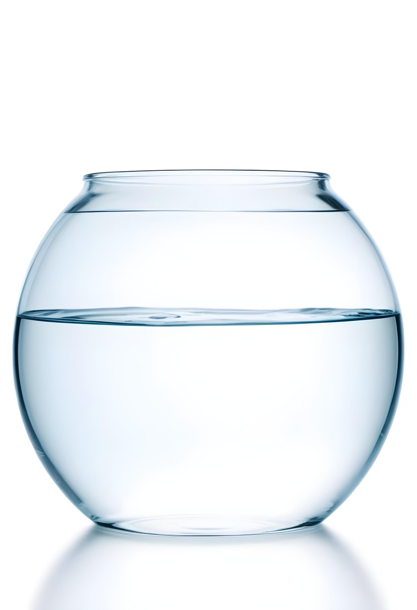 A Transparent Glass Fishbowl Filled Halfway With Clear Water Set Against A Plain White Background Showcasing The Simple Elegance Of The Container And Its Contents 20 0620