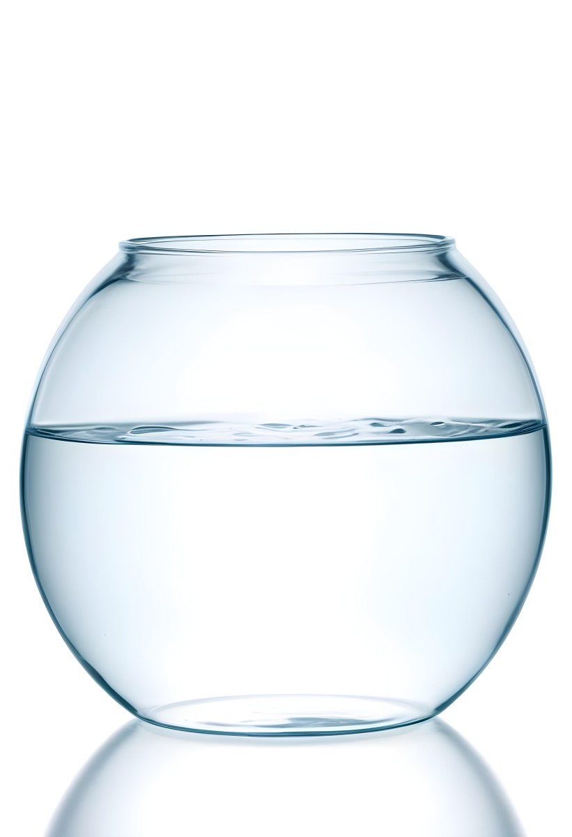 A Transparent Glass Fishbowl Filled Halfway With Clear Water Set Against A Plain White Background Showcasing The Simple Elegance Of The Container And Its Contents 22 5e52