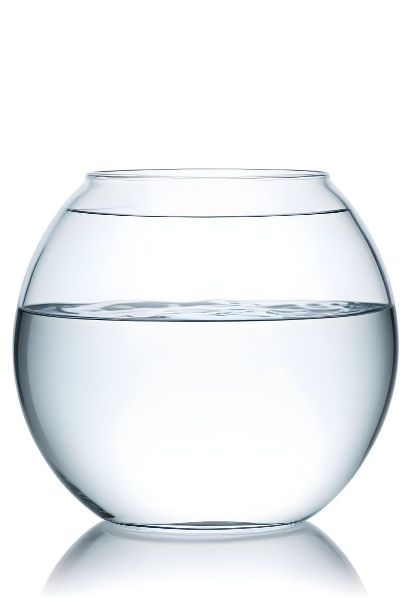 A Transparent Glass Fishbowl Filled Halfway With Clear Water Set Against A Plain White Background Showcasing The Simple Elegance Of The Container And Its Contents 23 B188