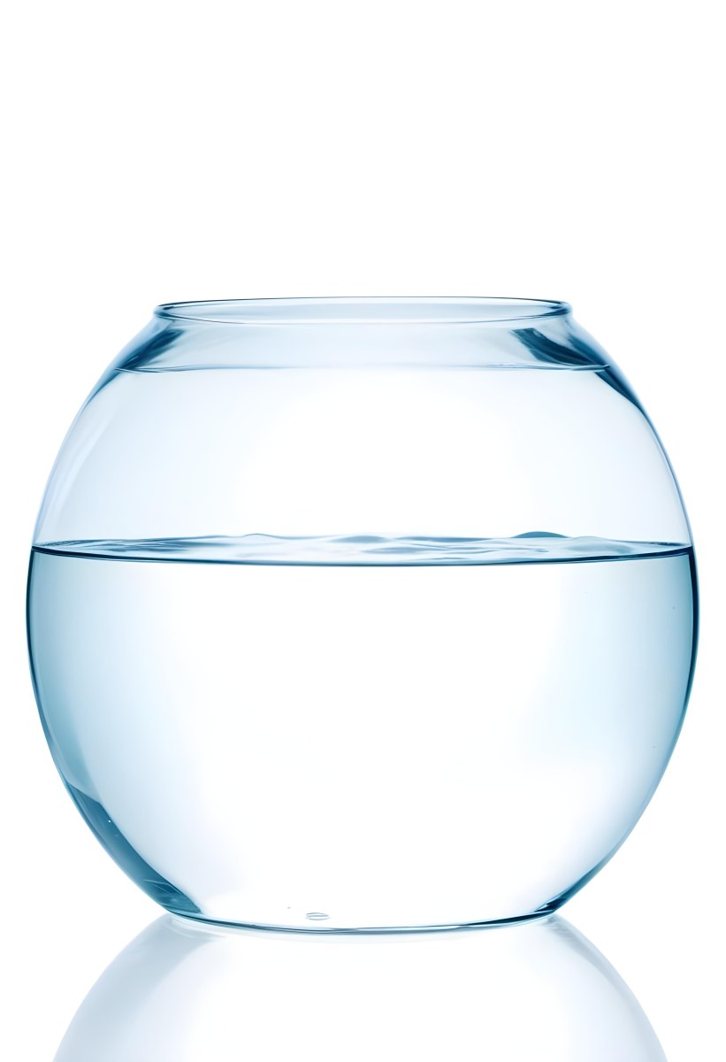 A Transparent Glass Fishbowl Filled Halfway With Clear Water Set Against A Plain White Background Showcasing The Simple Elegance Of The Container And Its Contents 4 7077