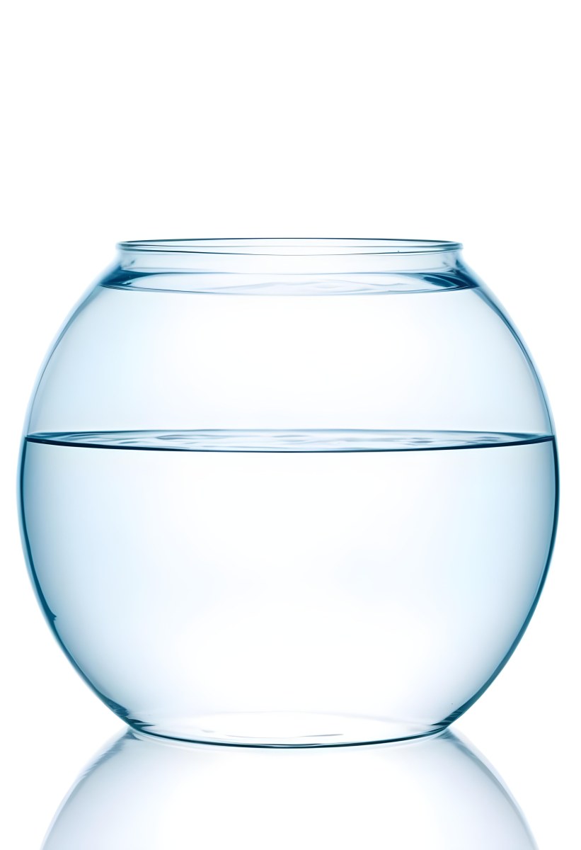 A Transparent Glass Fishbowl Filled Halfway With Clear Water Set Against A Plain White Background Showcasing The Simple Elegance Of The Container And Its Contents 6 E1d2