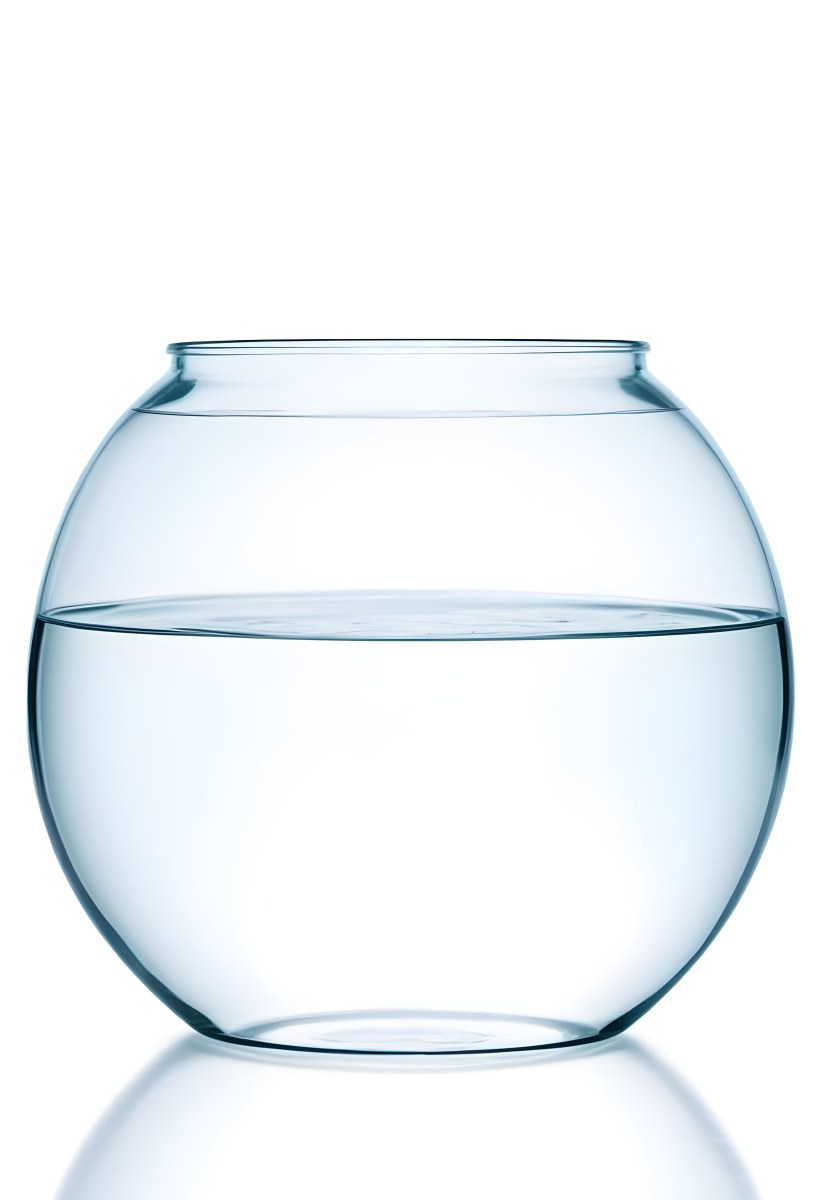 A Transparent Glass Fishbowl Filled Halfway With Clear Water Set Against A Plain White Background Showcasing The Simple Elegance Of The Container And Its Contents 7 492a
