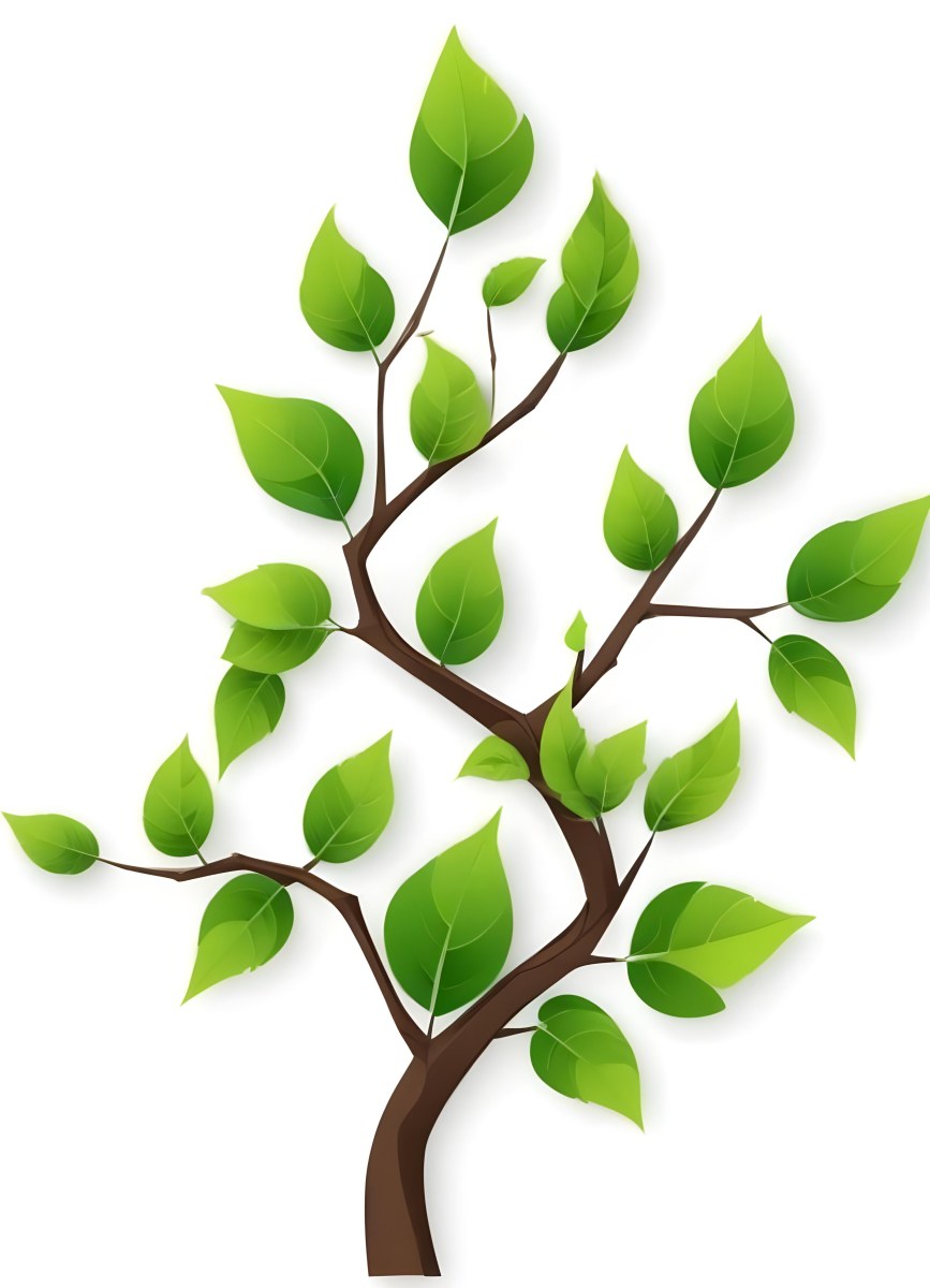 A Tree Branch