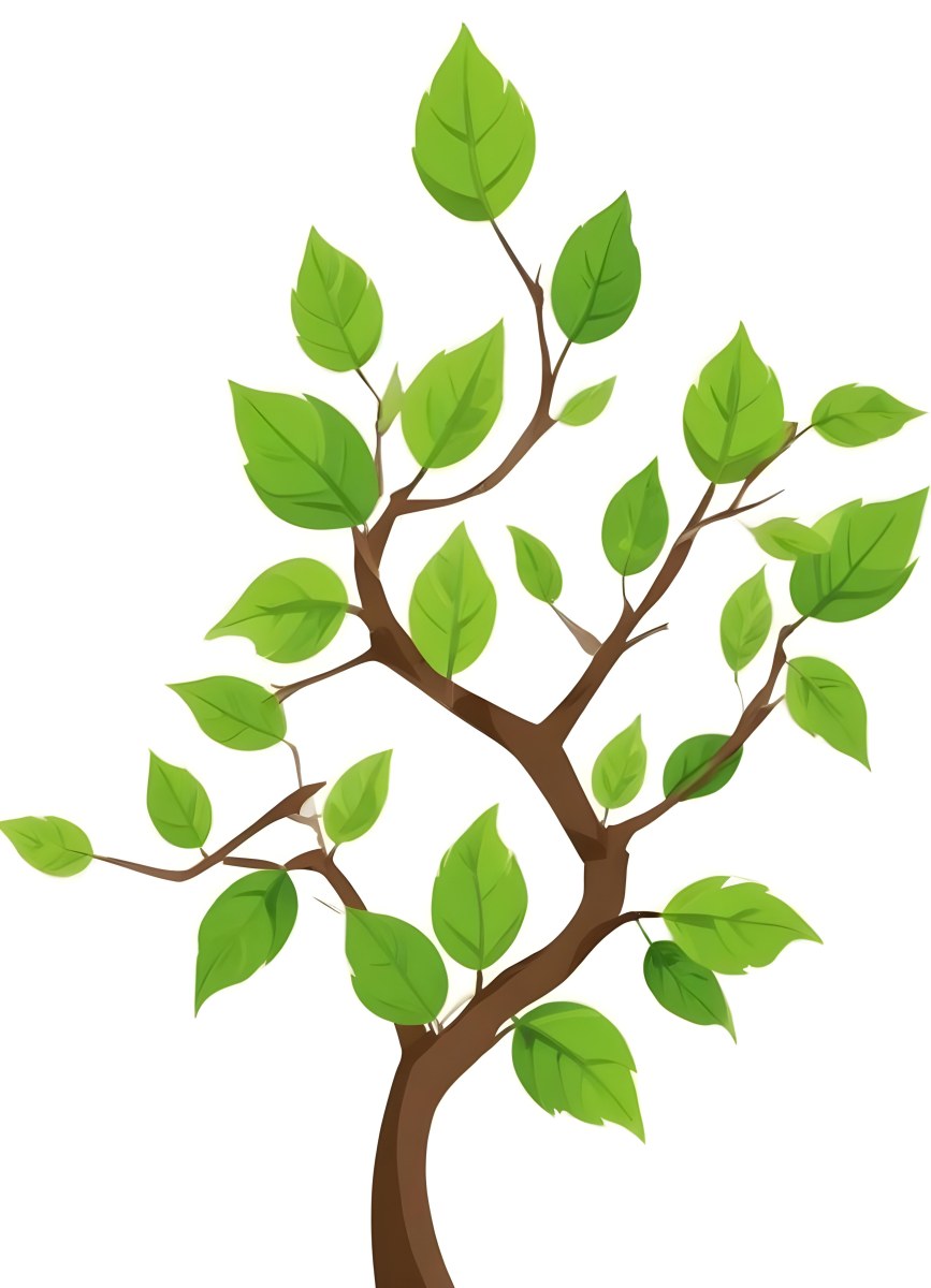 A Tree Branch With Green Leaves Against A White Background 4 C89e