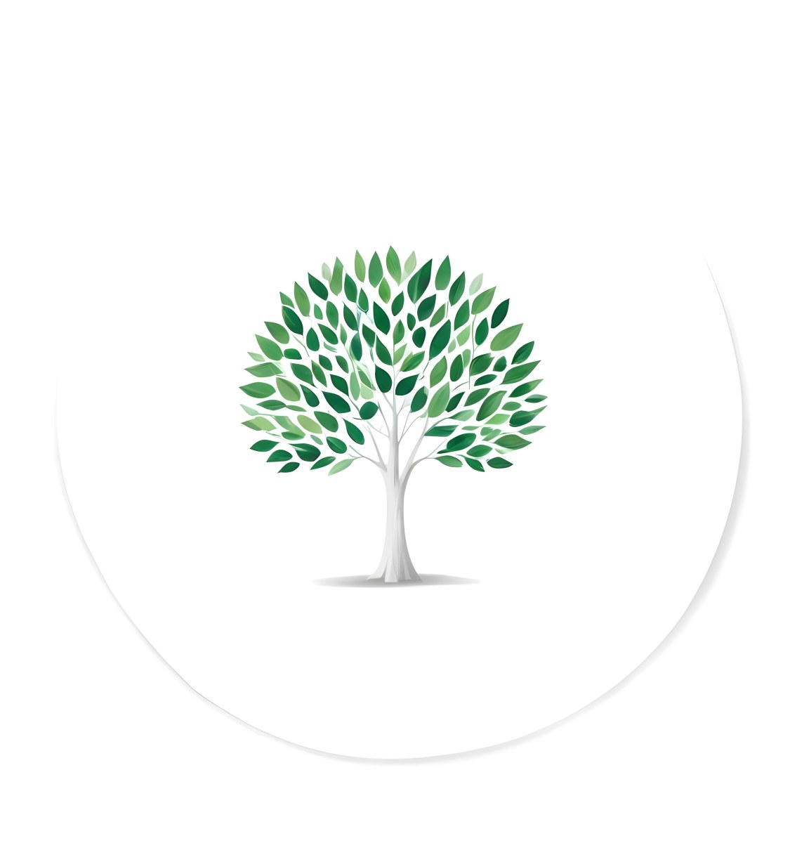 A Tree With A White Trunk And Green Leaves The Leaves Are Arranged In A Circular Pattern The Background Is White The Style Is Simple And Clean 42 A46b