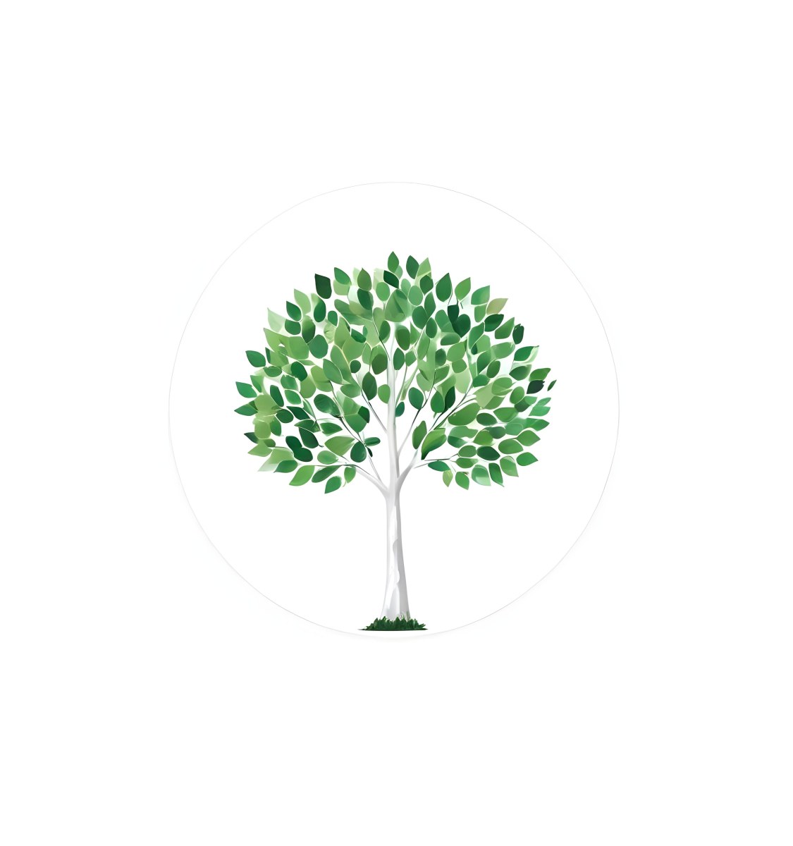 A Tree With A White Trunk And Green Leaves The Leaves Are Arranged In A Circular Pattern The Background Is White The Style Is Simple And Clean 45 F071