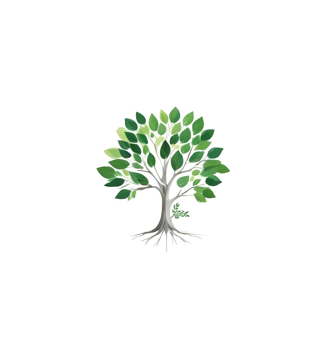 A Tree With Green Leaves And A White Trunk Isolated On A White Background Minimalist Design Nature Inspired Clean Lines Vibrant Colors Eco Friendly Concept 261 F4ba