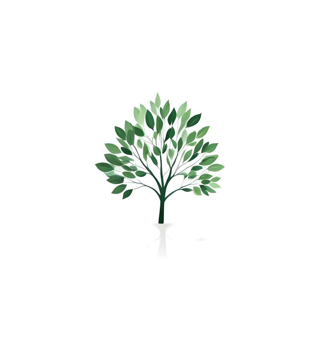 A Tree With Green Leaves And A White Trunk Isolated On A White Background Minimalist Design Nature Inspired Clean Lines Vibrant Colors Eco Friendly Concept 264 096f