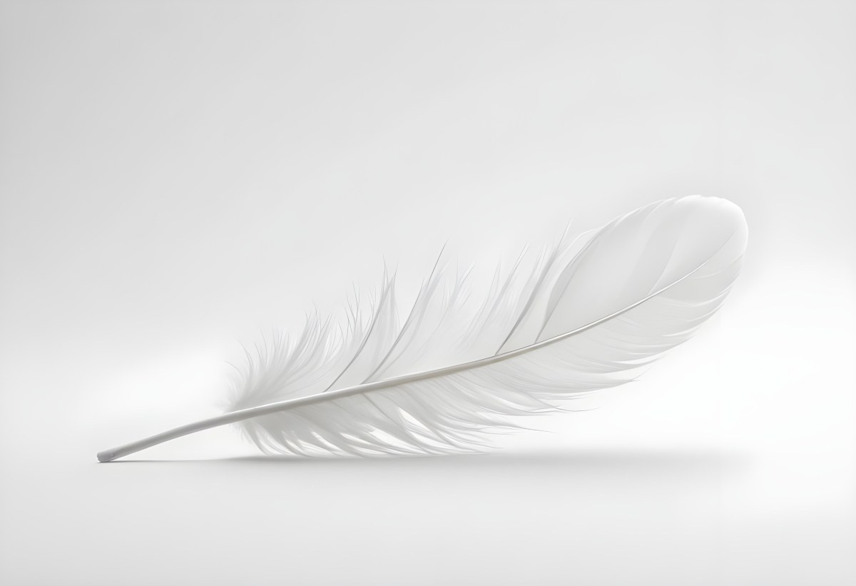 A White Feather With A Curved Shape Soft Texture And Delicate Barbs Floating In A Clean Bright White Background 11 Ae9d